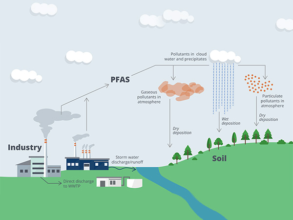 Infographic showing the cycle of PFAS entering the environment